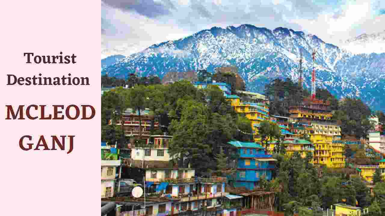 McLeod Ganj, Himachal Pradesh