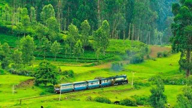 Coorg, Karnataka, India