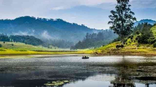 Kodaikanal, Tamilnadu, India
